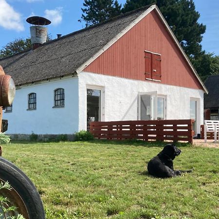 Dambaekgaard Sustainable Farm Villa Harlev  Luaran gambar