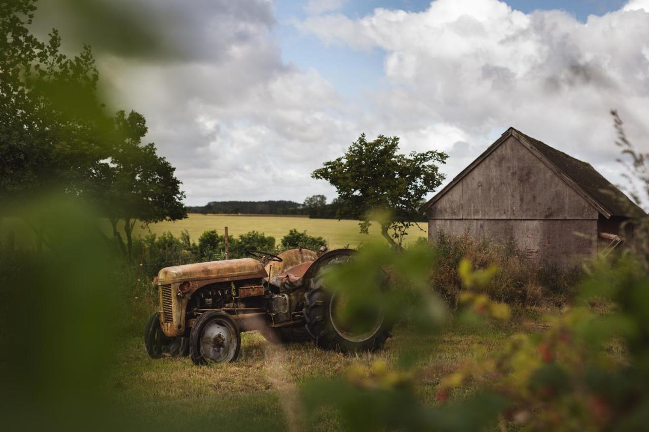 Dambaekgaard Sustainable Farm Villa Harlev  Luaran gambar