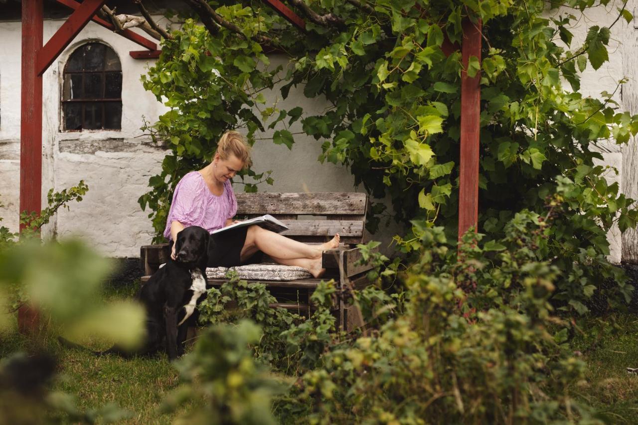 Dambaekgaard Sustainable Farm Villa Harlev  Luaran gambar