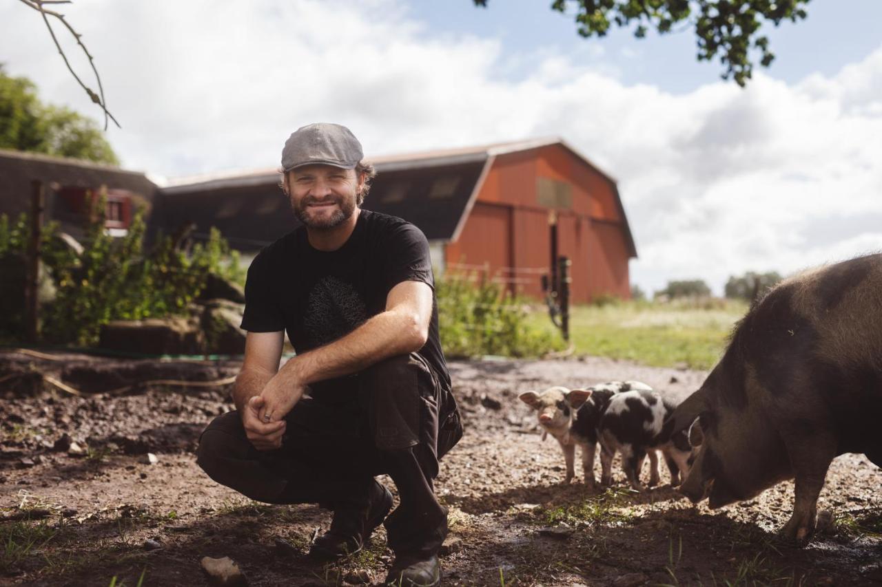 Dambaekgaard Sustainable Farm Villa Harlev  Luaran gambar
