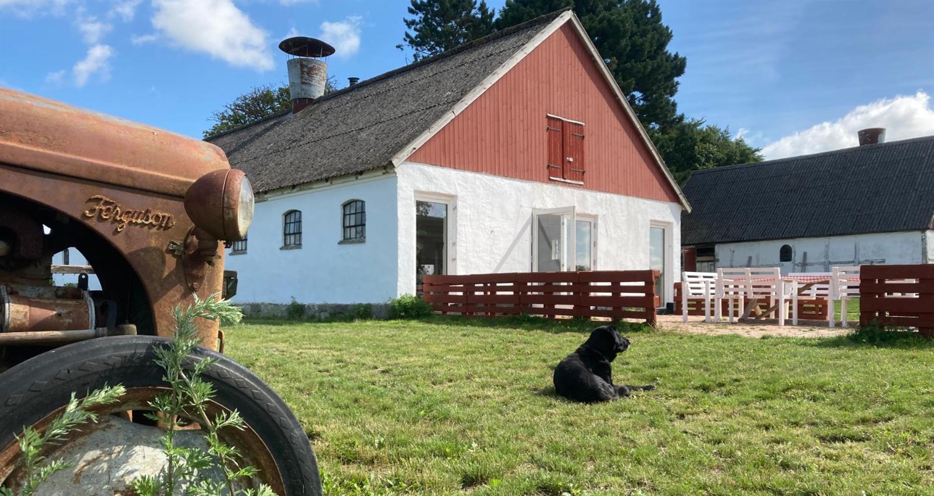 Dambaekgaard Sustainable Farm Villa Harlev  Luaran gambar